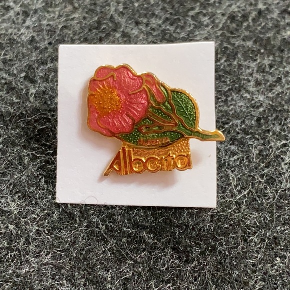Vintage Alberta pin - Picture 2 of 6